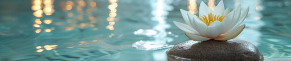 Association Zen Dogen Sangha Normandie